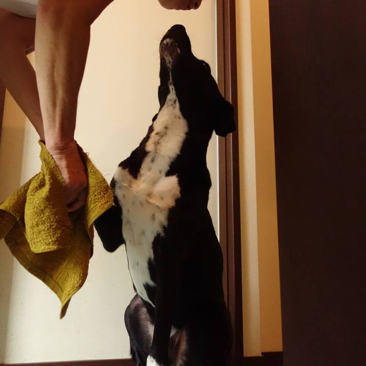 354a3019 384e 4728 9a06 dea6eebad184 1597017057323