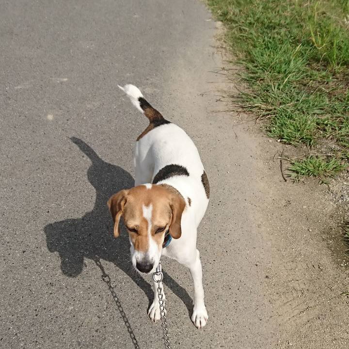 354a45db 0f8b 44bb b60d 588c01a54916 1568441218588