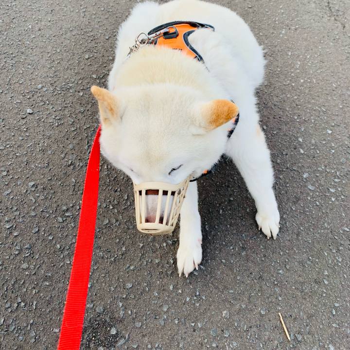 354a4aac 3187 455b 8bef ac16ce60a458 1618522115421