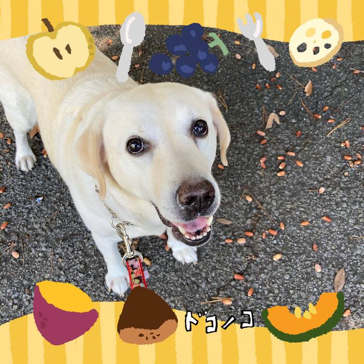 354a6c96 dba2 4cd6 ac6f 779652c27d83 1727311392171