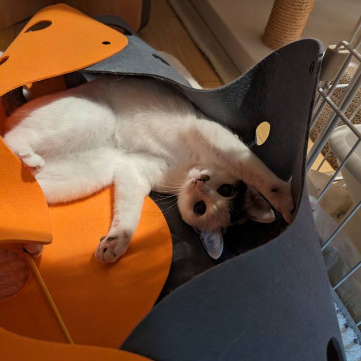 354a7596 cae9 47dd b882 afa4212ad33e 1699105608195