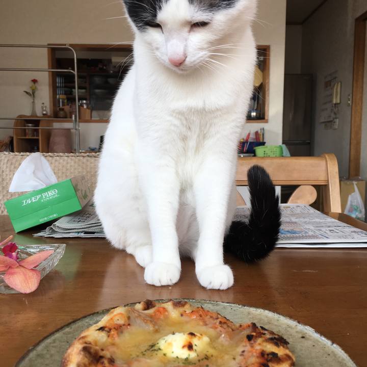 354a88ee dba4 4112 b178 8f4c63828271 1519665103377