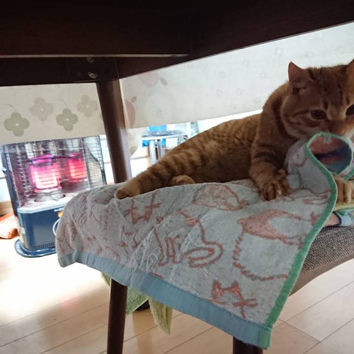 354a9c6f 2838 48c6 bc7b 7512d57ade9f 1639863381911