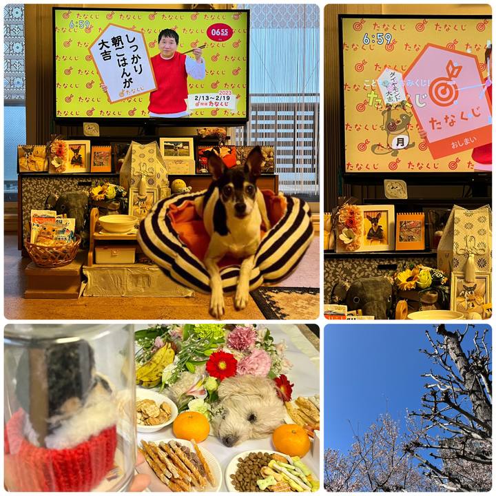 354aefe7 0b91 479e be62 b97c33cc4374 1676242994877