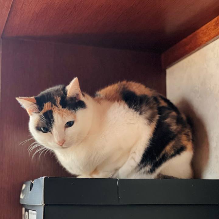 354af301 66ae 4f88 ac38 3ed8c3c08086 1645149562737