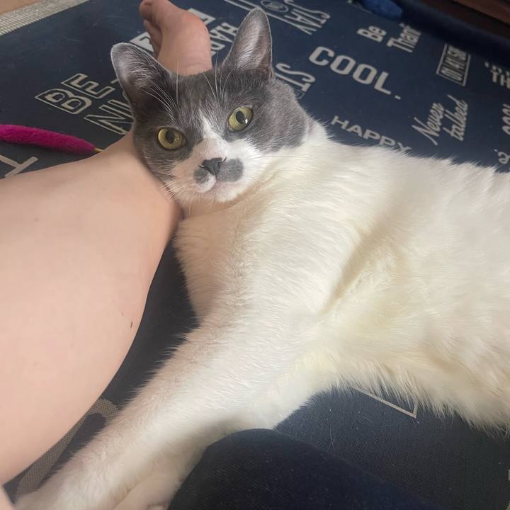 354b1f6f 5860 4ab9 a163 90116aa5fbaf 1719472568682