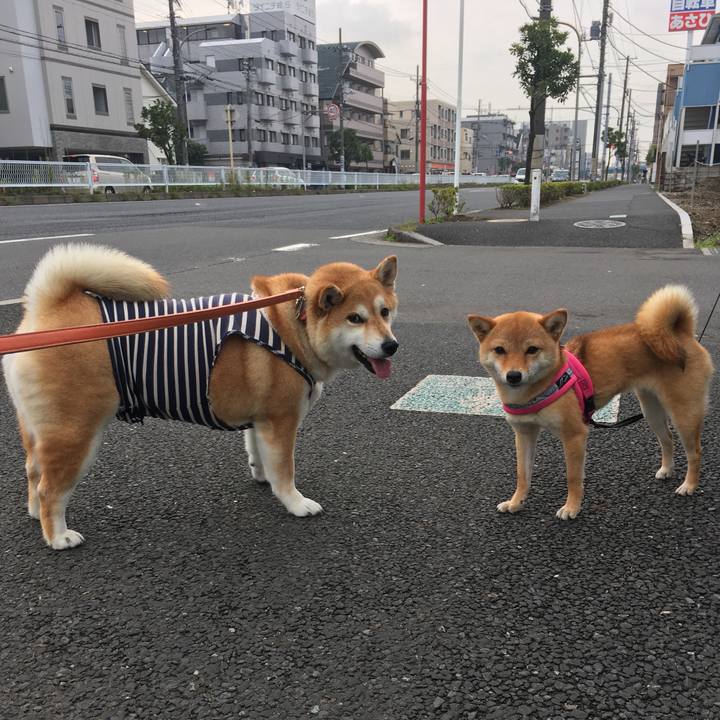 354b4950 6958 43db b52b 645941662323 1562975693112