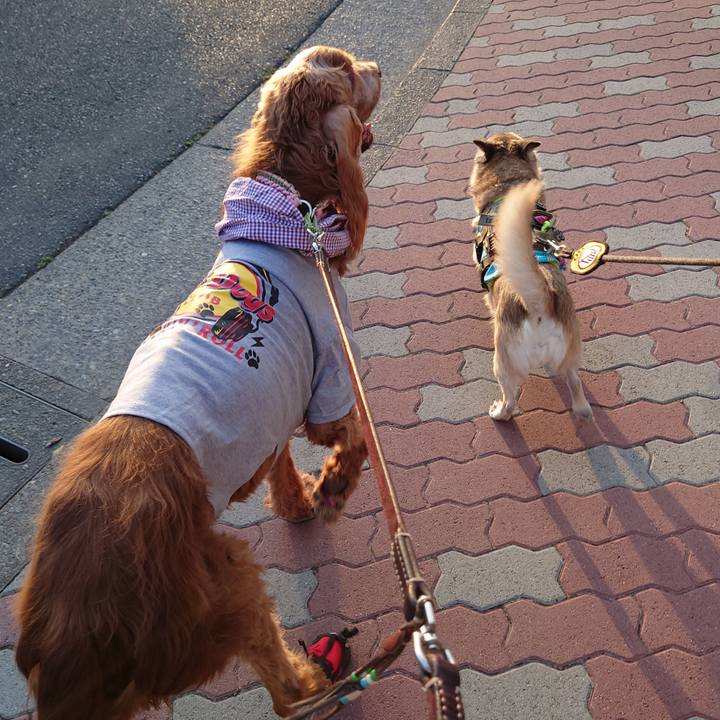 354b6e40 c886 4c68 8444 88f8320511e7 1683209701787