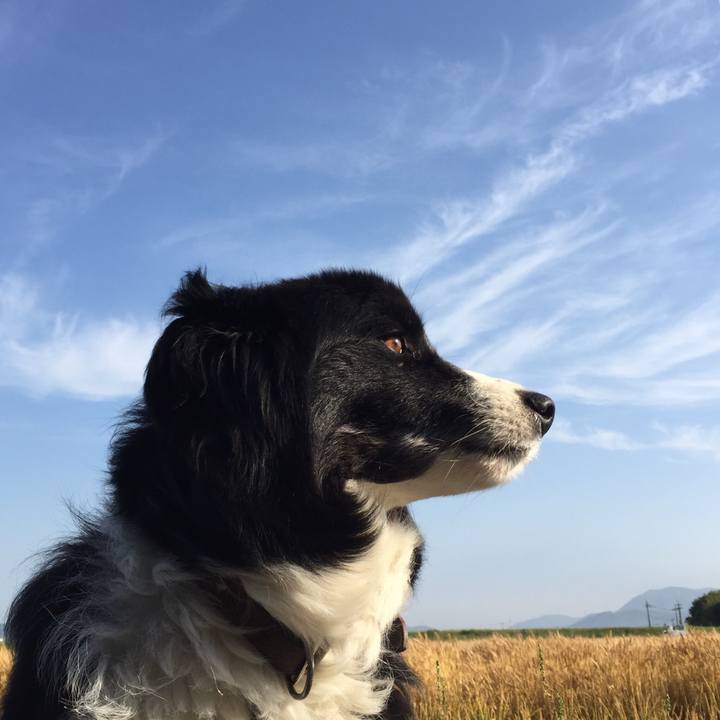 354b82e8 2dbd 463e ba90 53c6d222468a 1558482564708