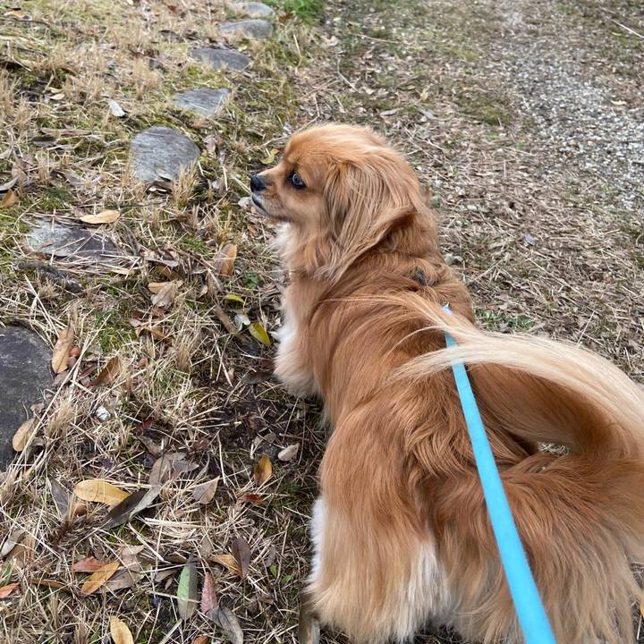 354b8370 a325 4f4b 87ec 9572771f5ca9 1582331321990