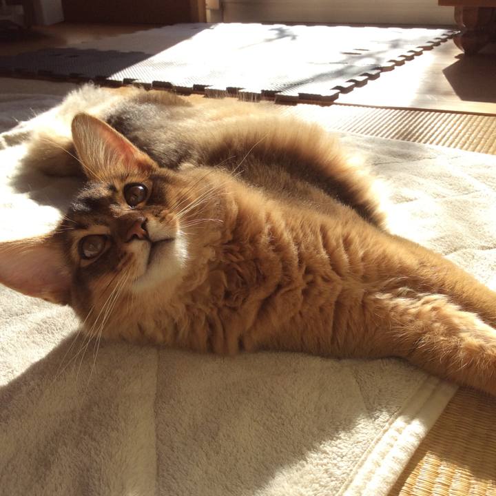 354b897d 85dd 4006 9157 df87c4162105 1576460244117