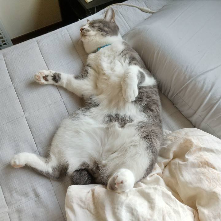 354bcacb 3df8 4730 ac6a f00bdeadc9c5 1627279494687