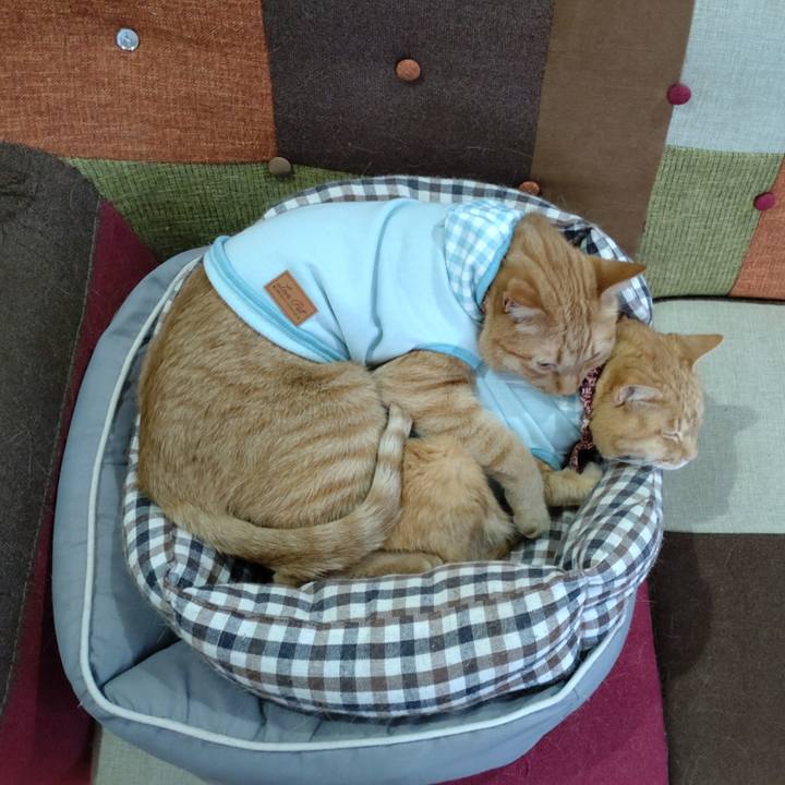 354c04eb 13bb 49ee 91dc 43d5ae154ce5 1648348653544