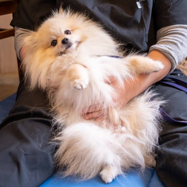 354c0e18 7fd3 4dc7 a353 9b8c1e30cb42 1592621402895