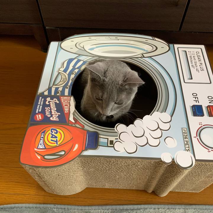 354c16f6 8aef 4c08 9743 cc7dcd9e7b4c 1660519391325