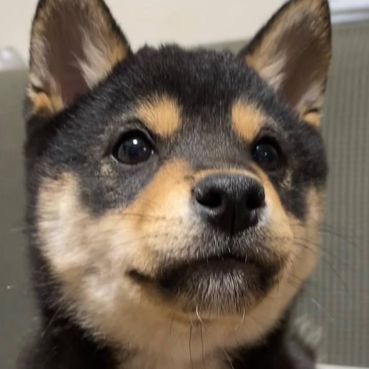 354c9735 181d 4f09 aa2b 6921b38b0668 1680590451396