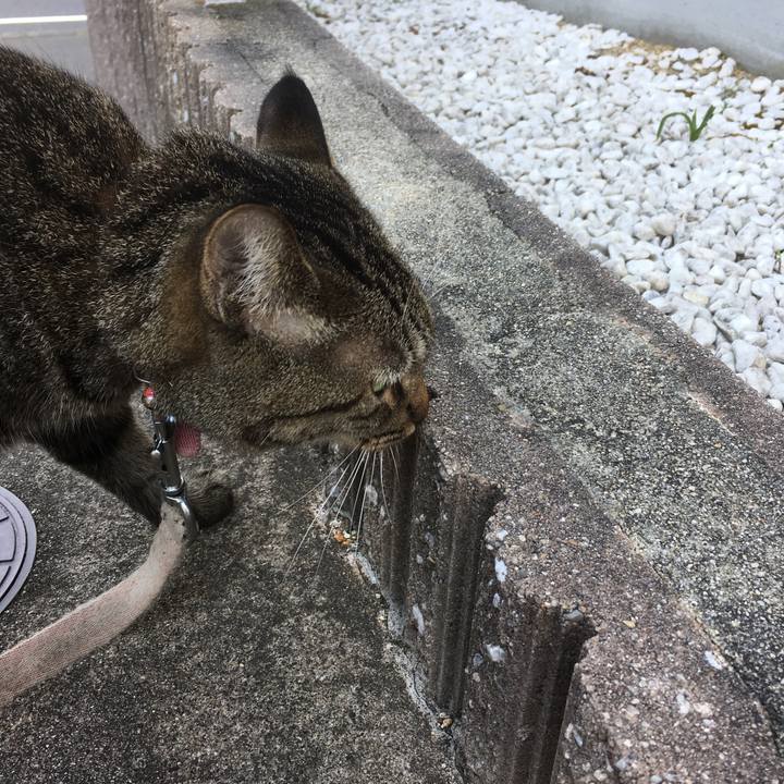 354cc614 5996 4d4b a9f6 684ff3d8be1e 1534635379886