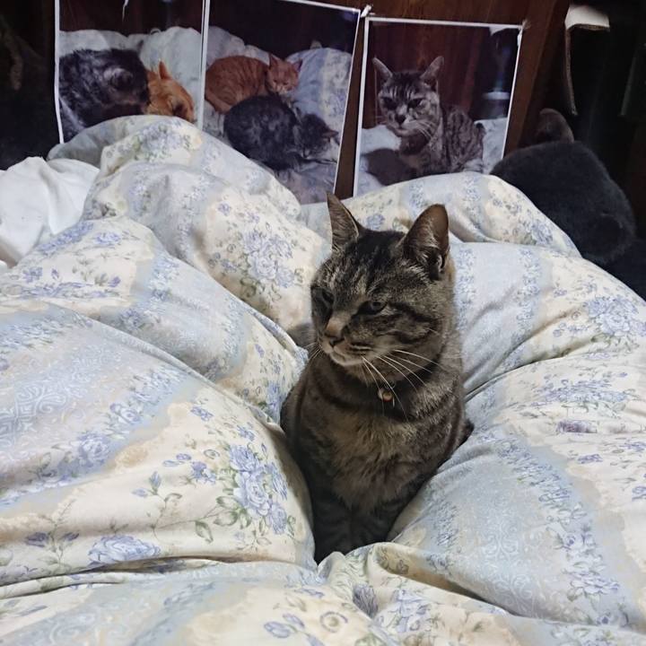 354cff88 1829 4f26 a7ad 55ae2219ffa1 1653656349638