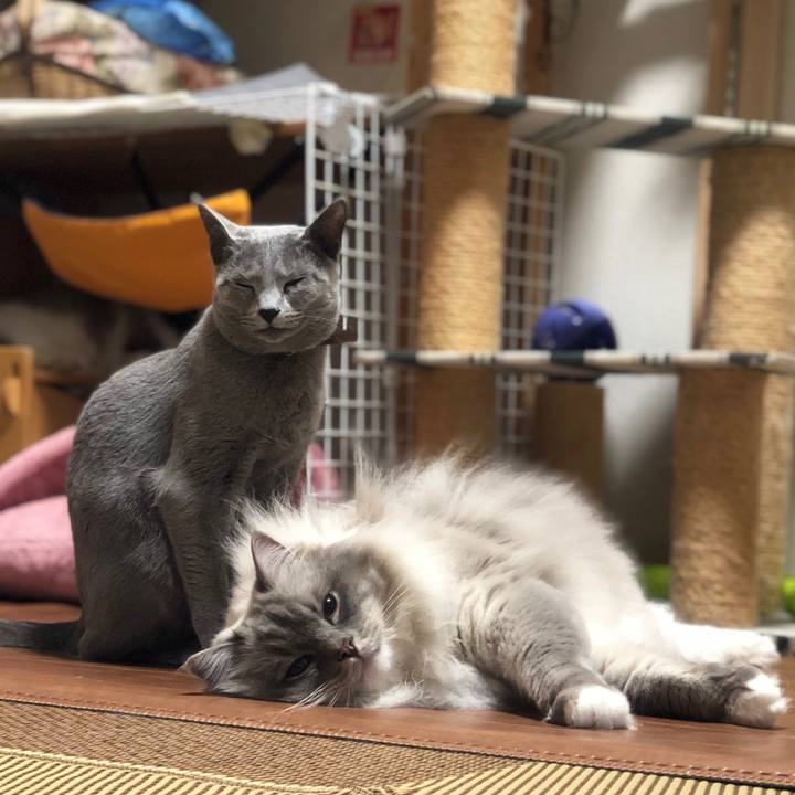 354d03d1 936a 481f 92b1 0d11b3e1a66a 1551133466179