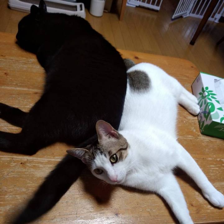 354d0af2 9de4 4890 9094 186673c5c031 1657102653036