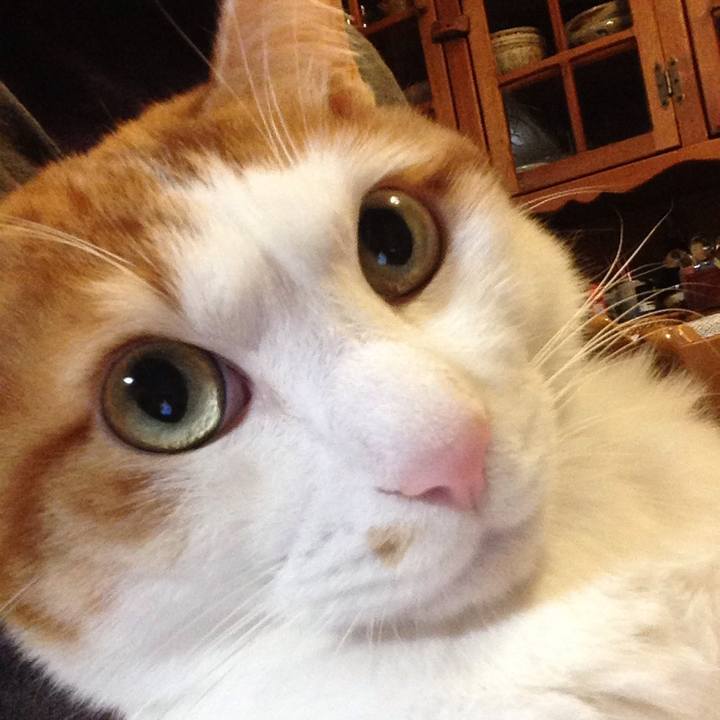 354d2755 07b9 4704 9e8f 1dac8bcbeb4d 1514471379528