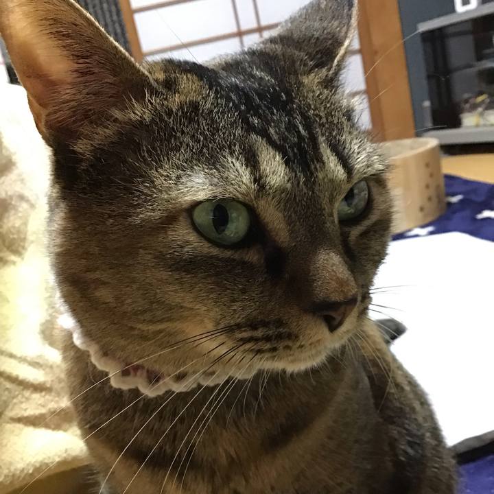 354d8b52 356c 4e82 a7f3 305415e318a5 1736504294699