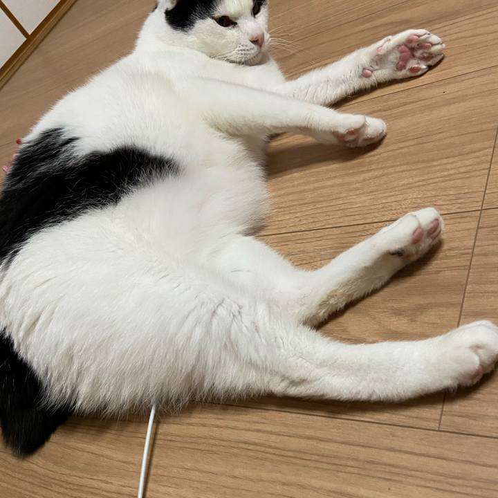 354ddd0b 347a 4afb be30 c65d0c494045 1587900377925