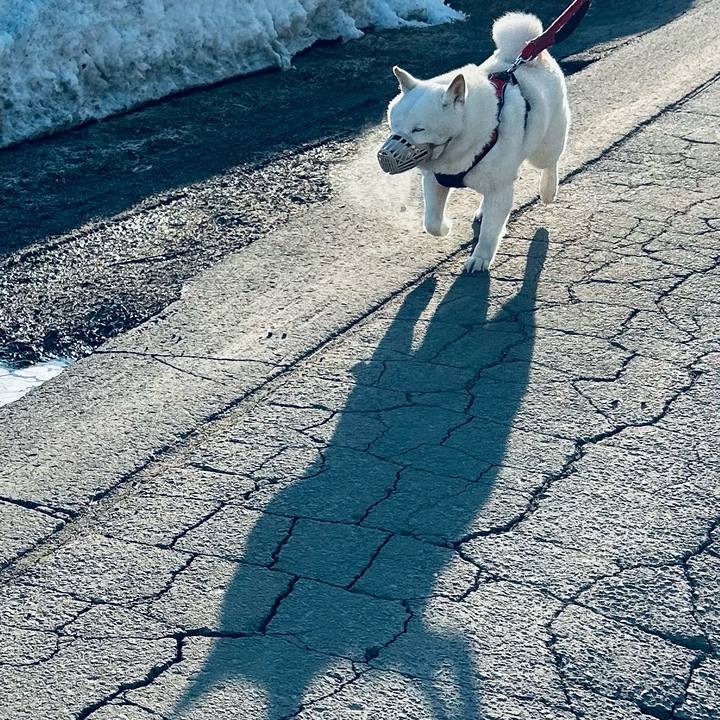 354e4007 ccfb 44e7 abf7 94850a4c31c1 1711578623334