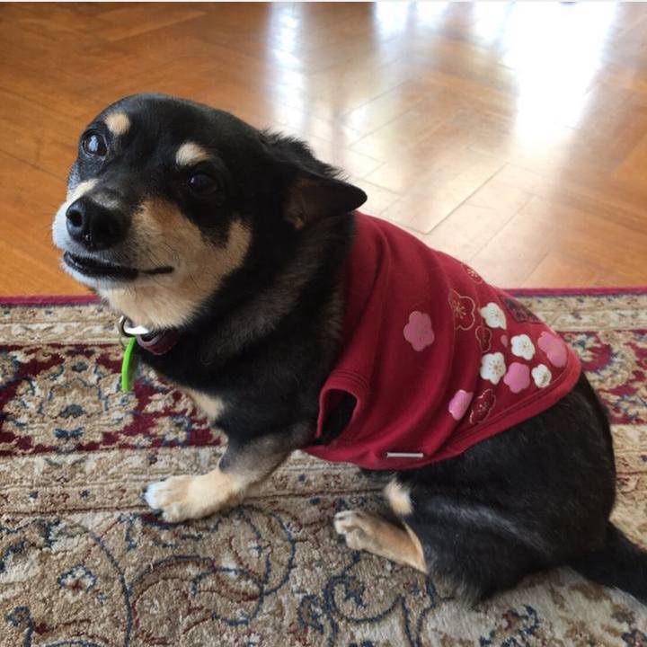 354ea9d1 3883 4889 a1a1 1e2b82a79a0b 1761525039359