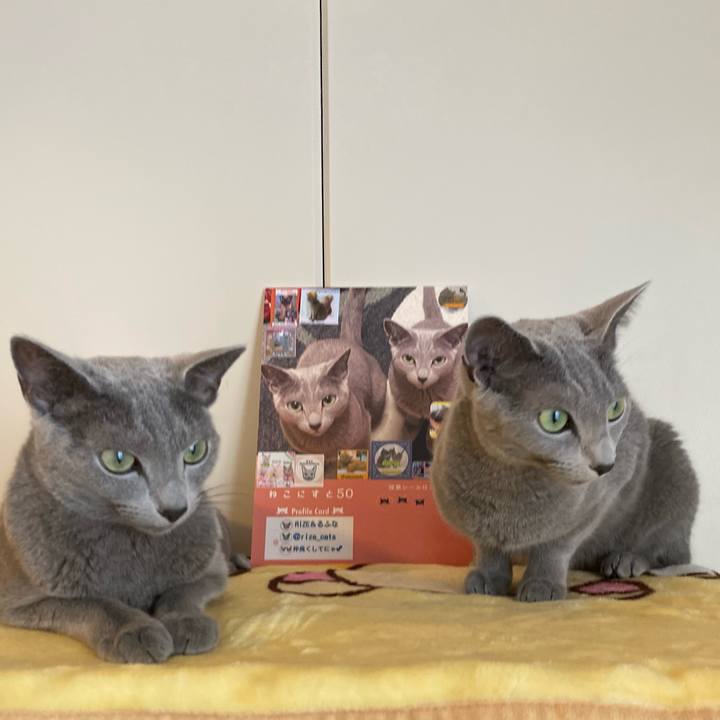 354ed08e a55b 41d6 9a86 7942fb2fc08c 1658574052106