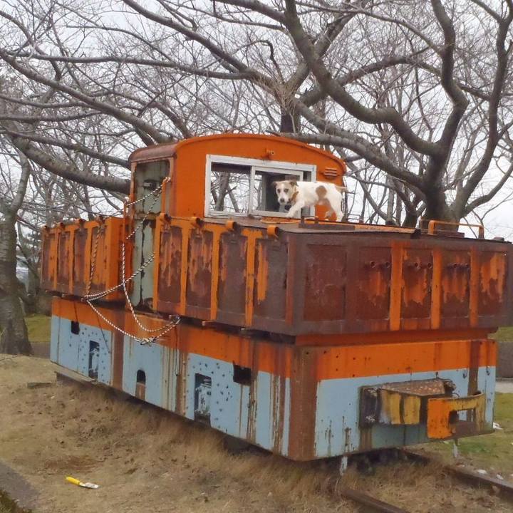 354eeacb 85b1 431b ac7d 6988d208b2a0 1549359485471