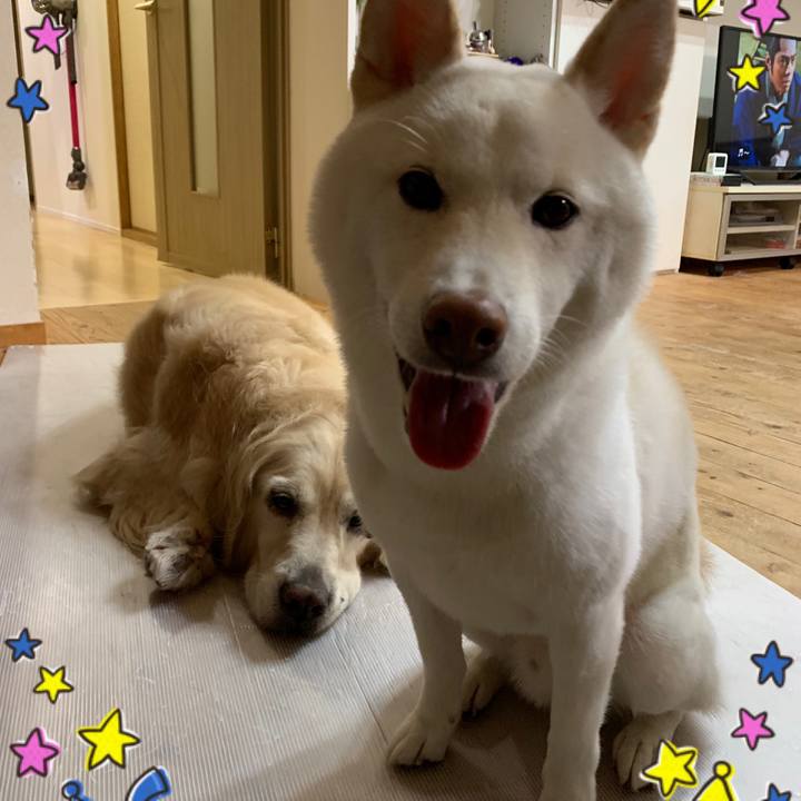 354eefe5 6054 4ccb 873c 0ca69a6befeb 1569410241164