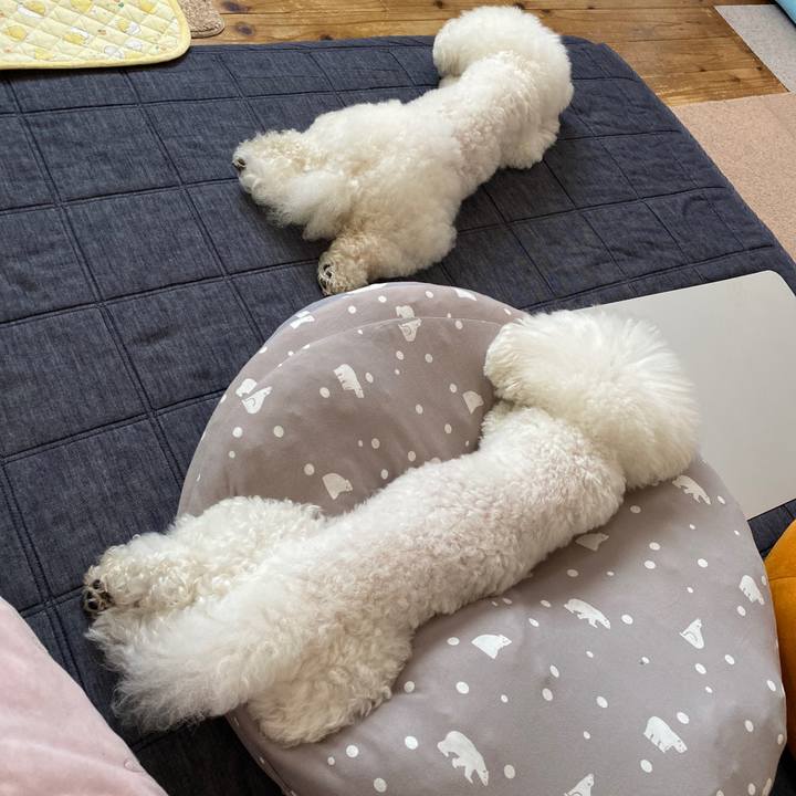 354ef2ad b363 4228 81ae 0d82bd7ddb96 1654146717786