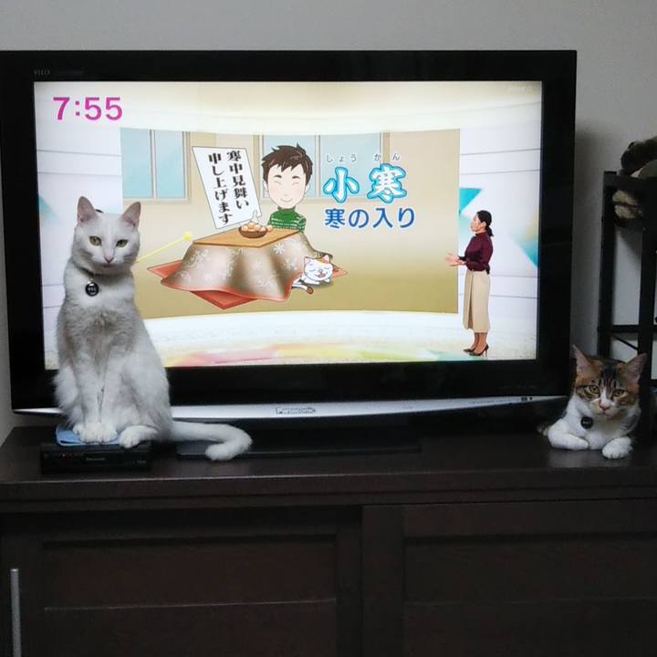 354efe4f a3cc 4e24 bff1 d22f55ef5543 1641337125150