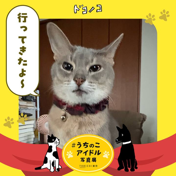 354f2cab 073c 4f29 8b95 f4f427d6cbd0 1761353331328