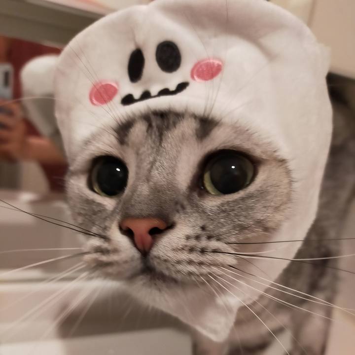 354f7ef0 37c4 4e4f 9bdb aea565d112fd 1604108077877