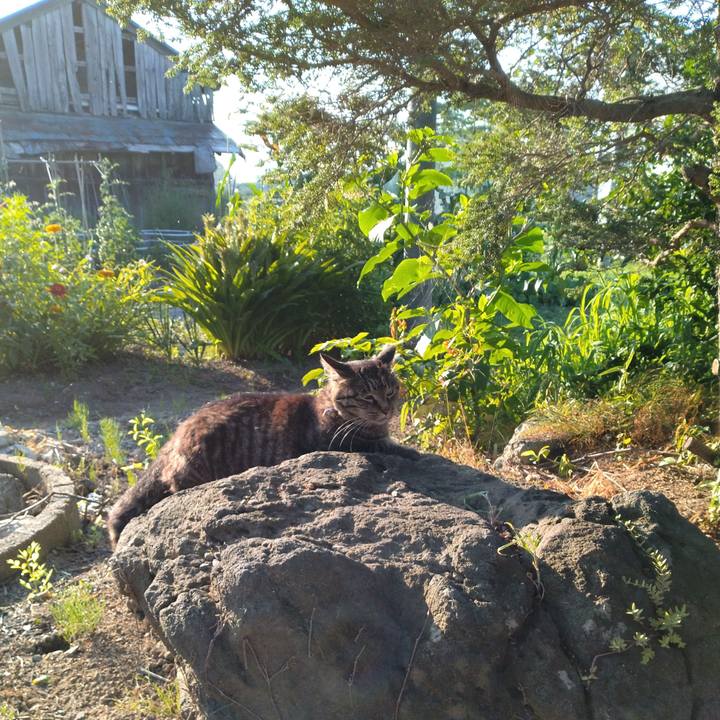 354f922b 3212 449d bbaa 8e447097e84d 1690409620428