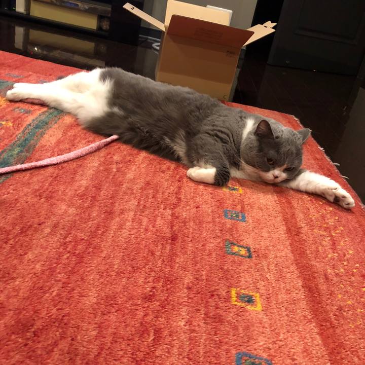 354f9280 b272 452c a7ed be7b96988a48 1519729075858