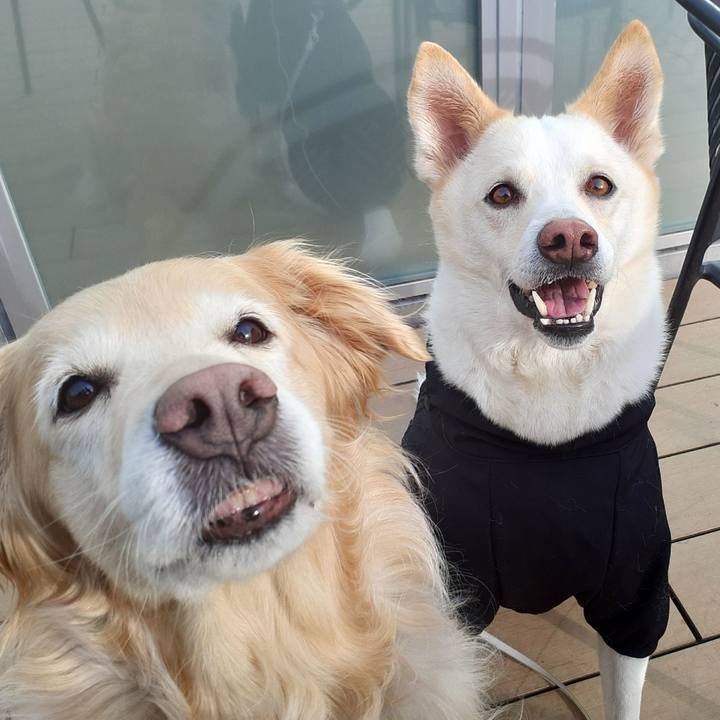 354fc275 a744 434d 91af f443a6ee5290 1642911122366