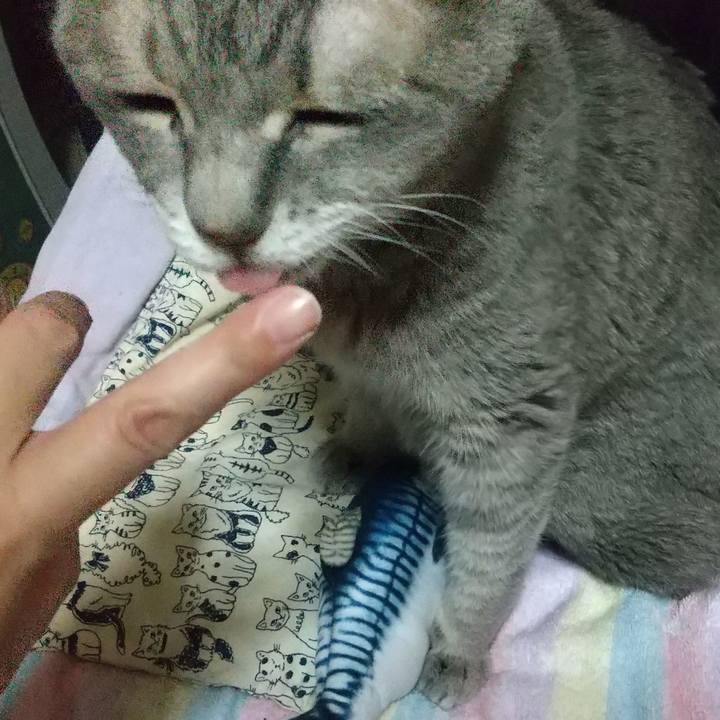 354fd0ac 7e0a 4032 a67f 6463d25bd8f2 1693078792676