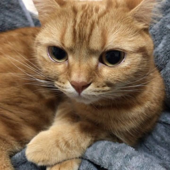 354fe1c5 f803 4b0e bb73 b41079b0ed57 1546088902256