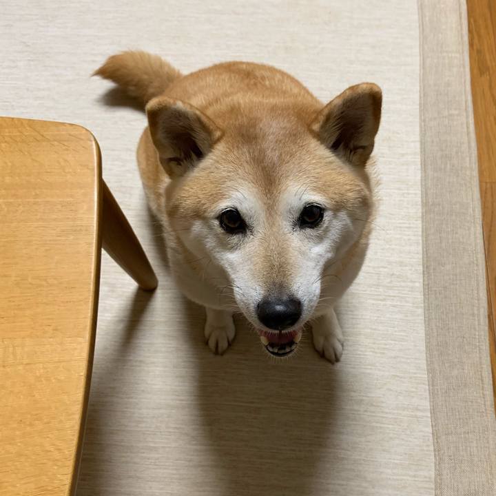 354fe59a eb55 4c70 acea e3b2a614d99a 1561034000092