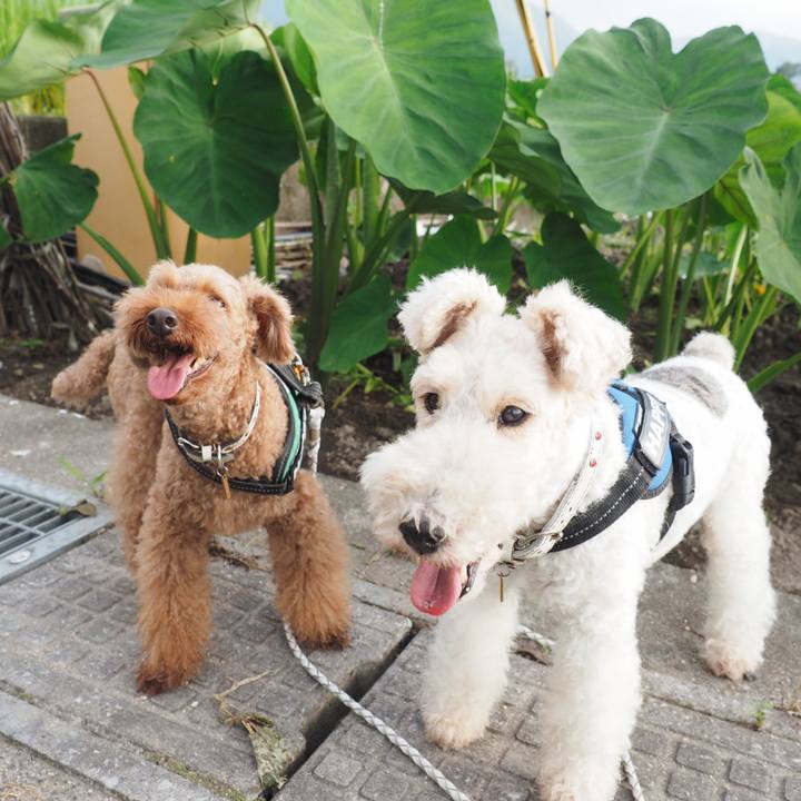 35503920 3a06 48fd 886e c1807e392c4b 1604751825086