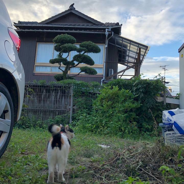 35504ed9 be7c 47de adcd b2fd38f5232d 1727493417886