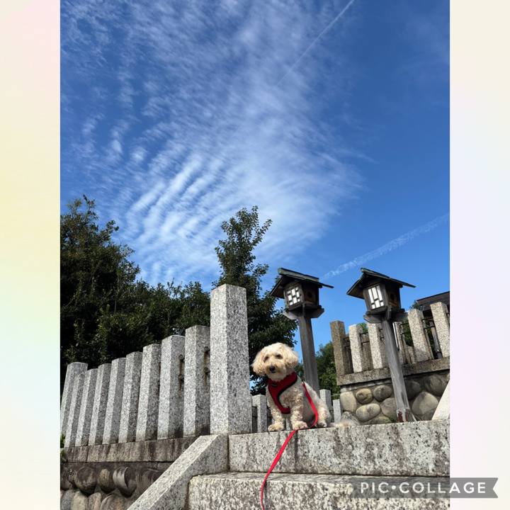 3550570b f17b 4c57 8e81 1d50d5eb9f59 1759371938930