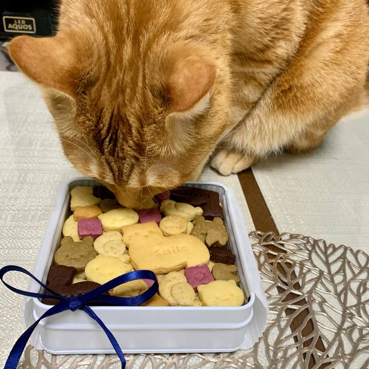 35506049 0c04 4fc2 8881 8ee5ae362a1c 1629328040315