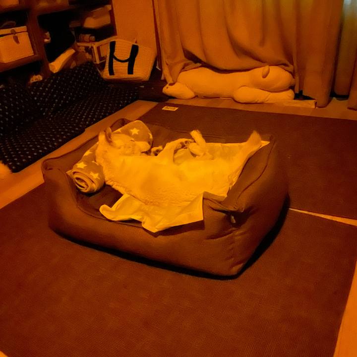 3550a401 868f 47bf a7ca f7affeddf530 1666723981280