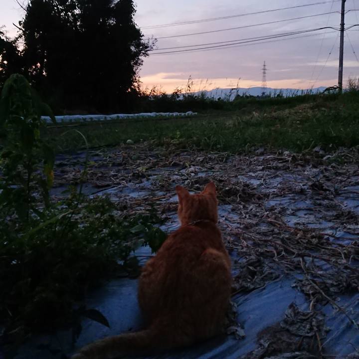 3550d29a 4f93 4bef 8045 419a04d4f8eb 1568107220579