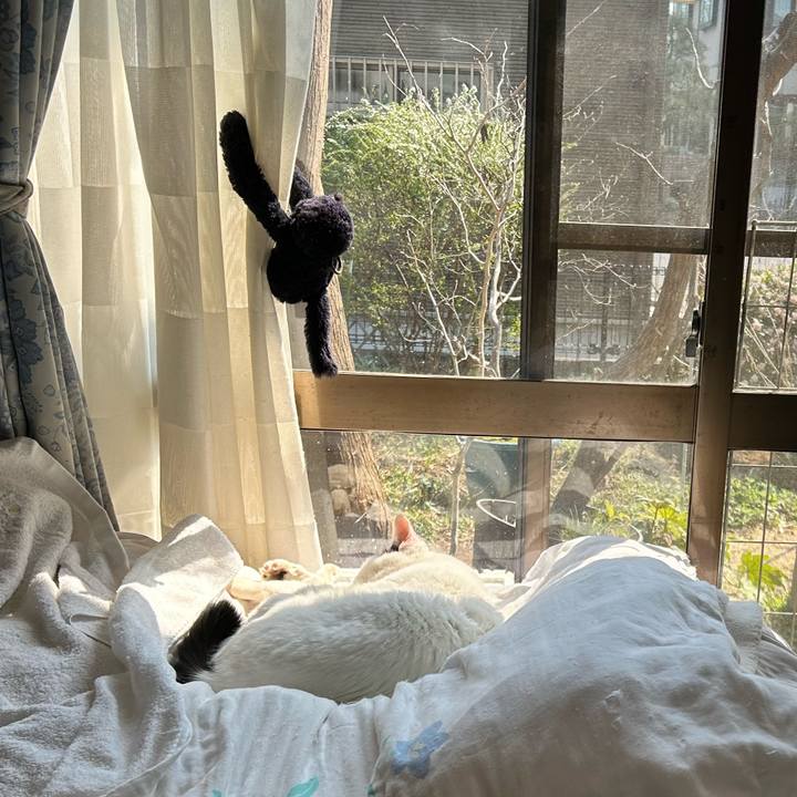 3550d48c 7baa 454f bd2a 0c24cbeffaba 1773478795377