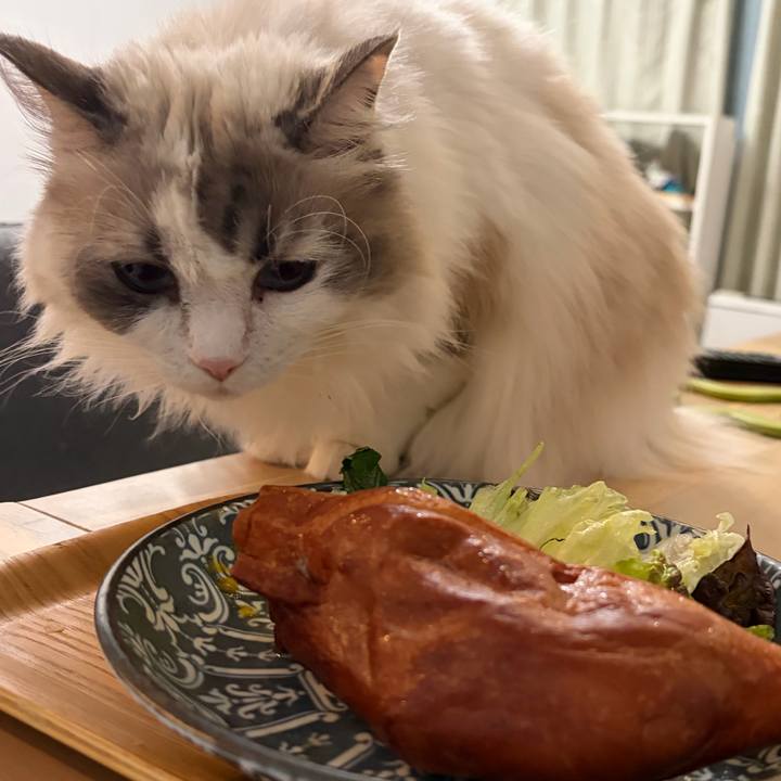 35510c12 4798 49f4 8a1d 21eb87382f44 1767531735894